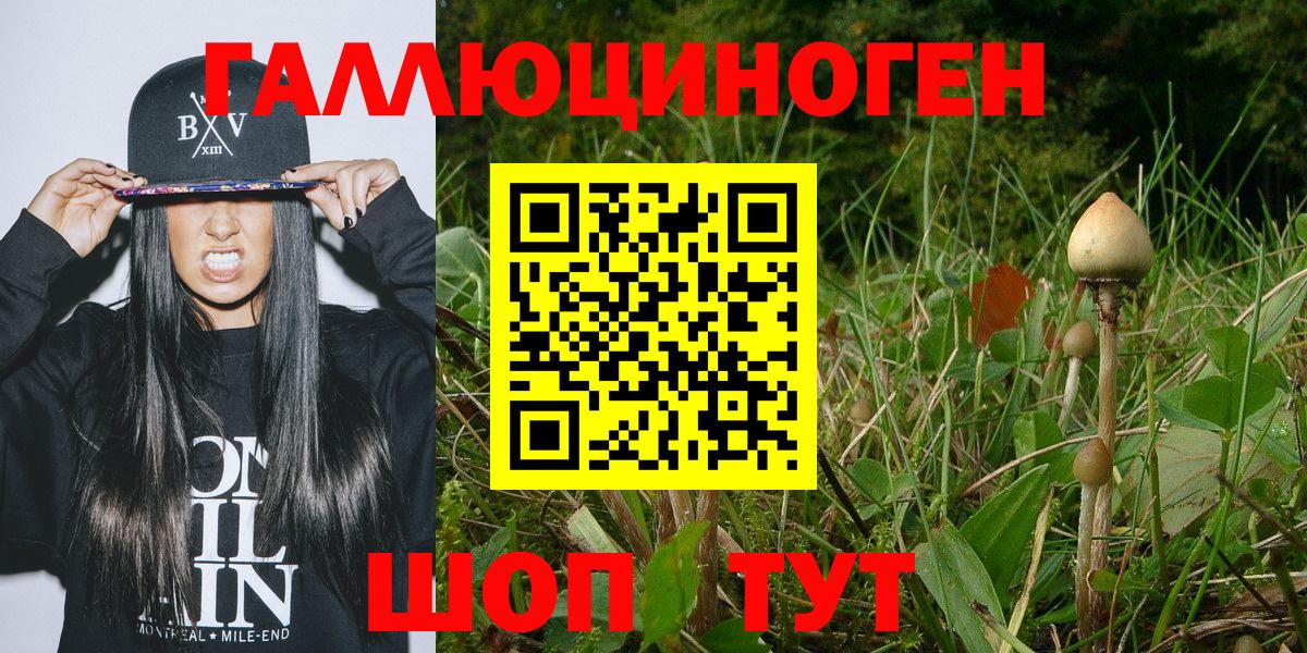 Галлюциногенные грибы MAGIC MUSHROOMS Торжок