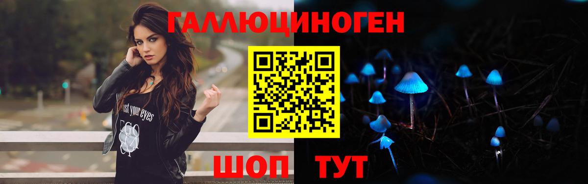 Торжок  Галлюциногенные грибы прущие грибы  Вход с VPN  Псилоцибиновые грибы мицелий 